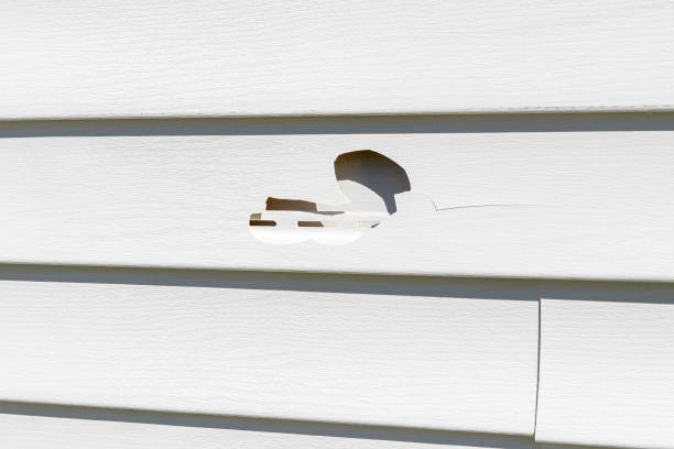 Long Prairie, MN Siding Installation & Repair Company